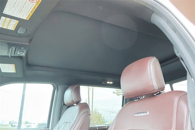 2017 Ford Super Duty F-250 Platinum
