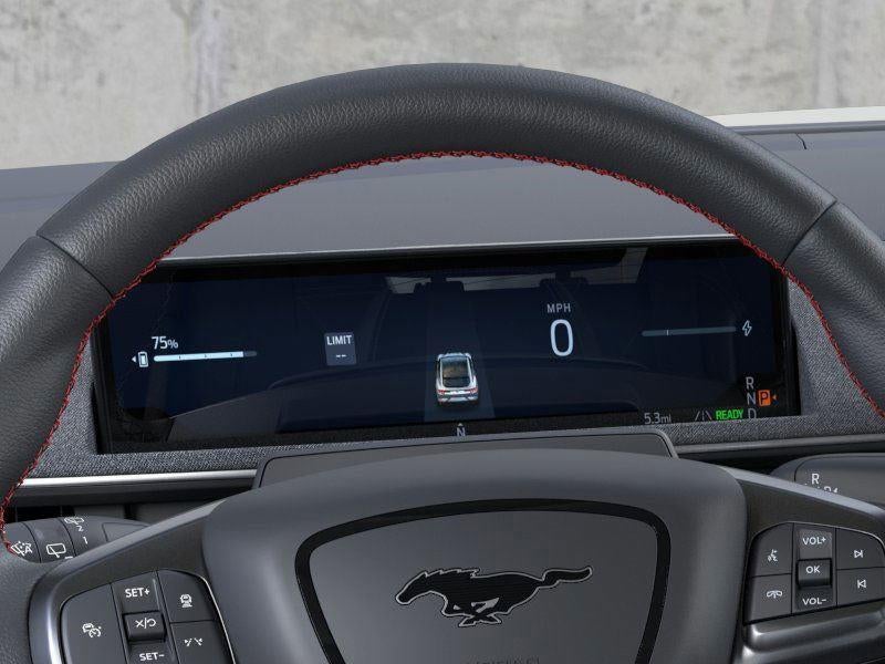 2025 Ford Mustang Mach-E Premium - Photo 13