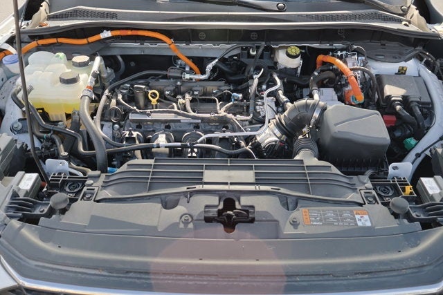 2024 Ford Escape Hybrid ST-Line